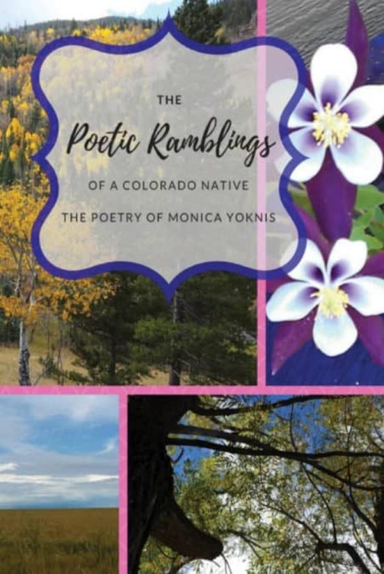 Portada de the poetic ramblings of a colorado native