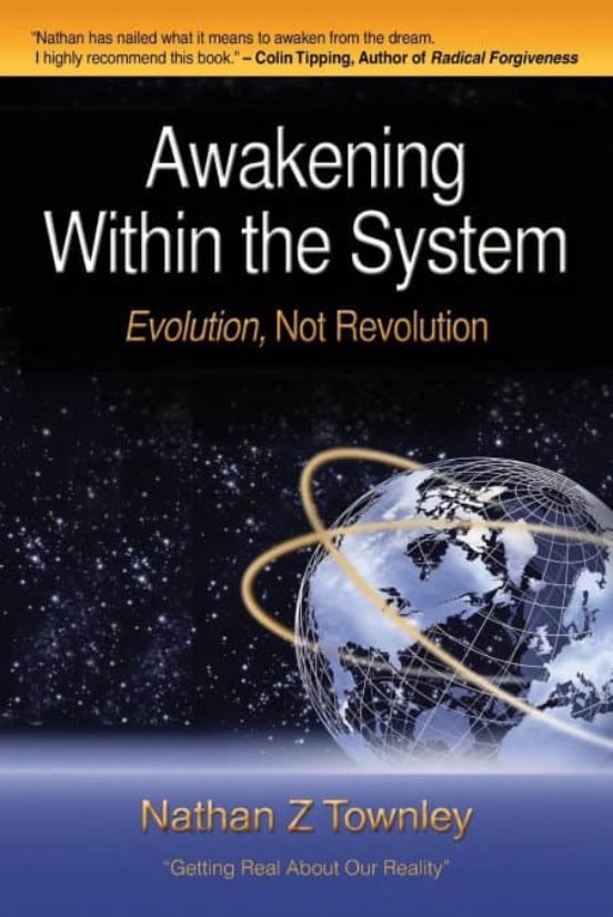 Portada de awakening within the system