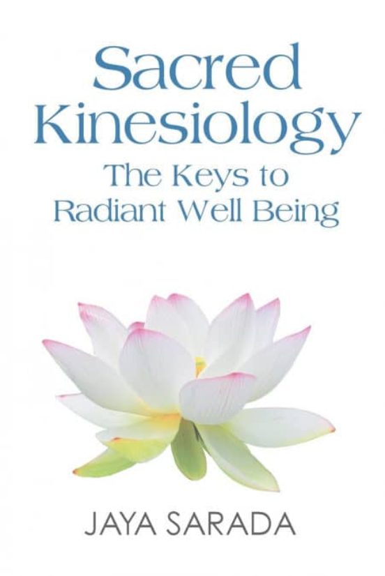 Portada de sacred kinesiology