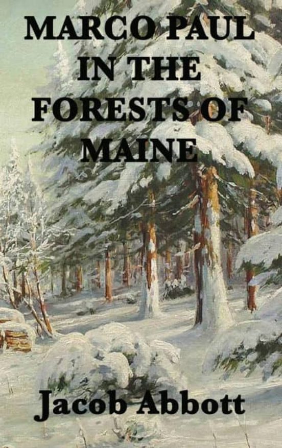 Portada de marco paul in the forests of maine