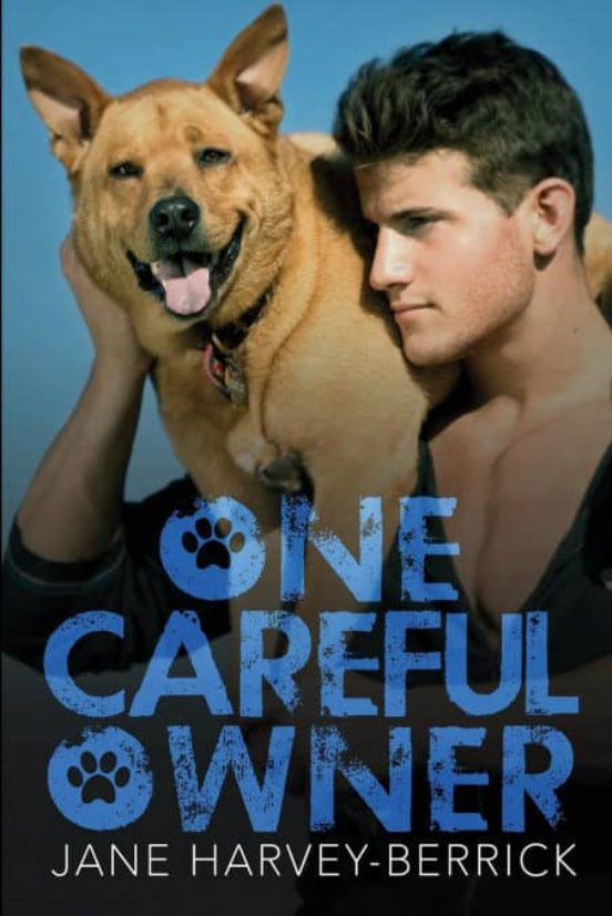 Portada de one careful owner