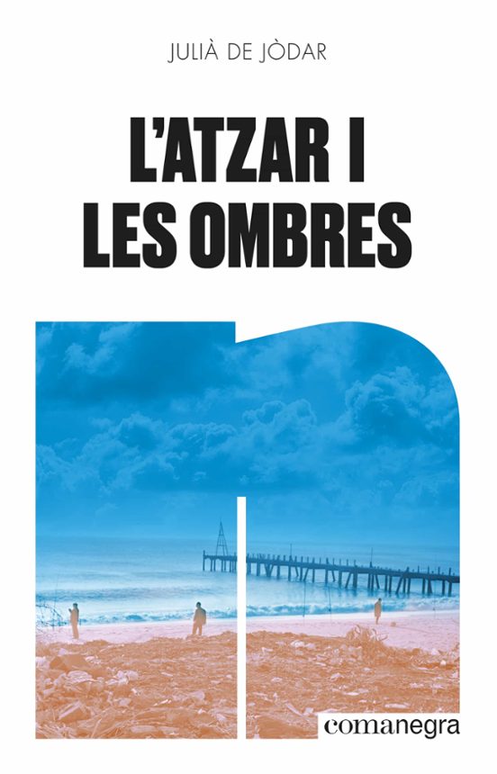 Portada de l atzar i les ombres