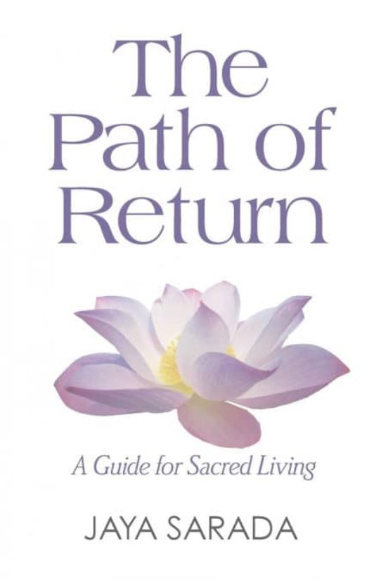 Portada de the path of return