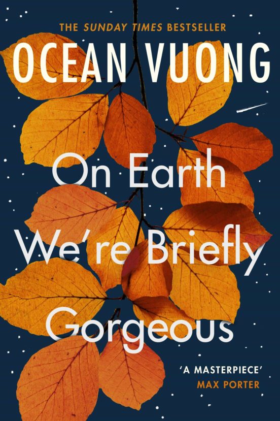 Portada de on earth we re briefly gorgeous